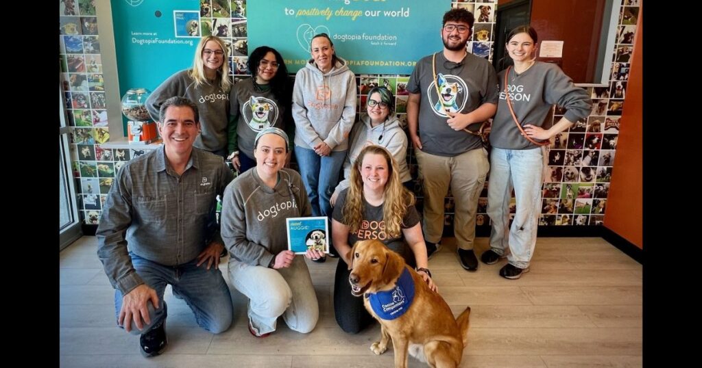 Dogtopia group photo with golden lab
